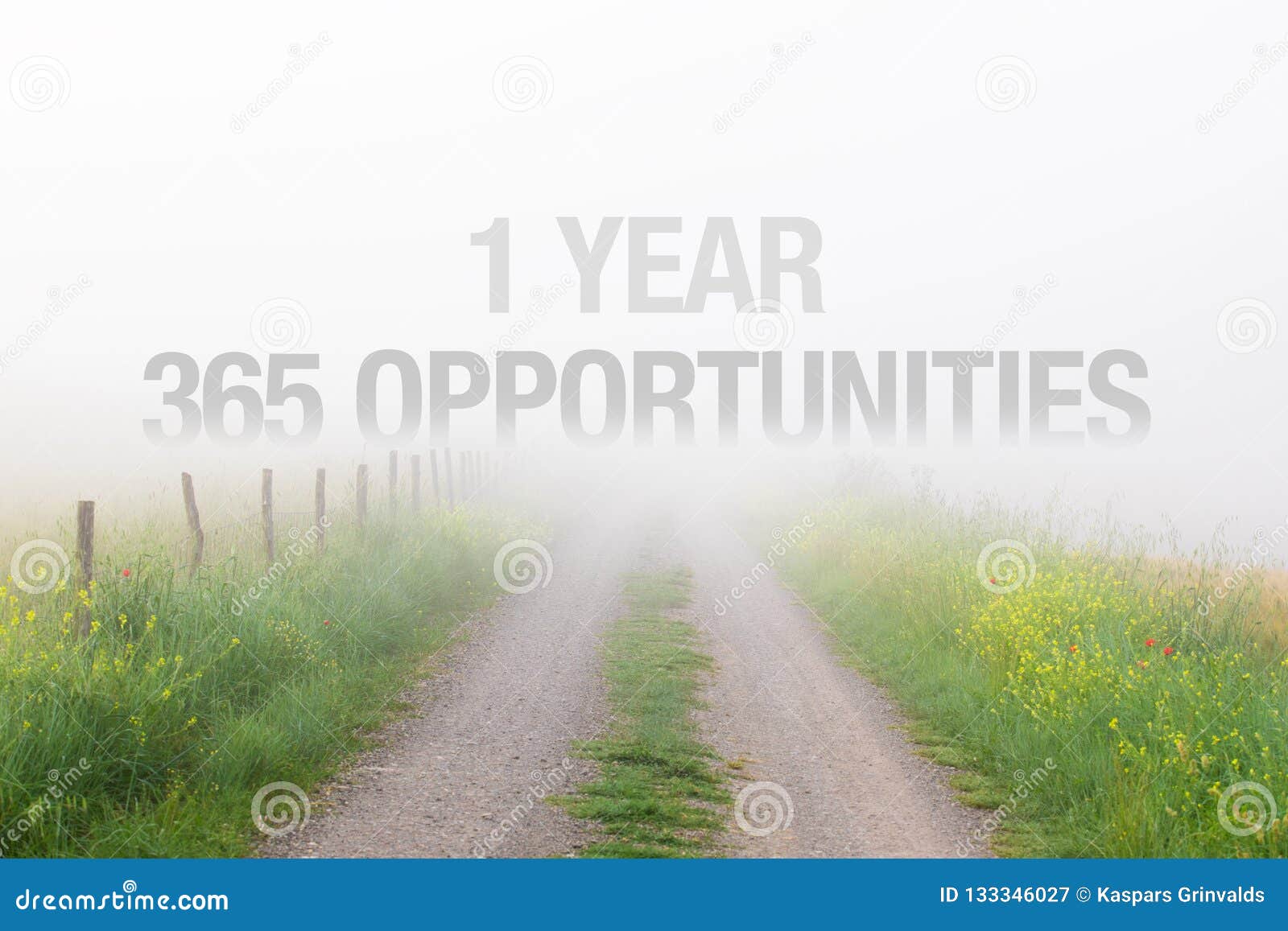 1 year equals 365 opportunities, inspirational quote for new years resolutions