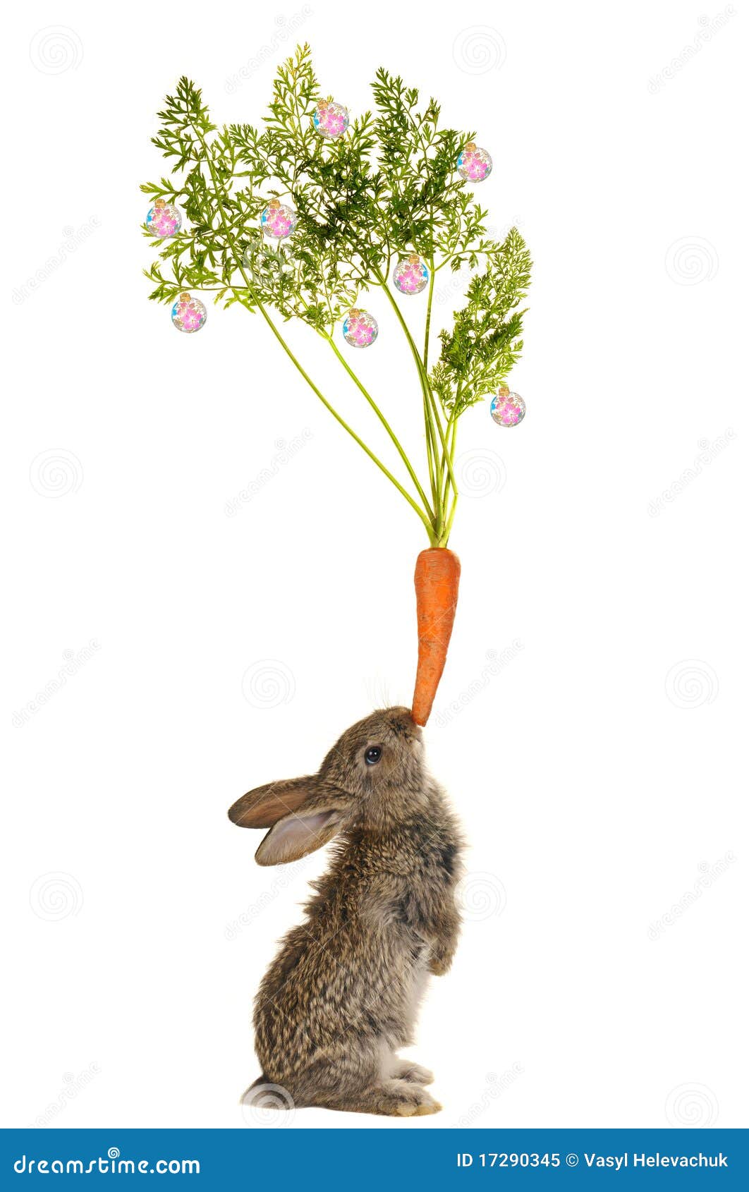 Year of a hare stock image. Image of pets, mammal, xmas 17290345