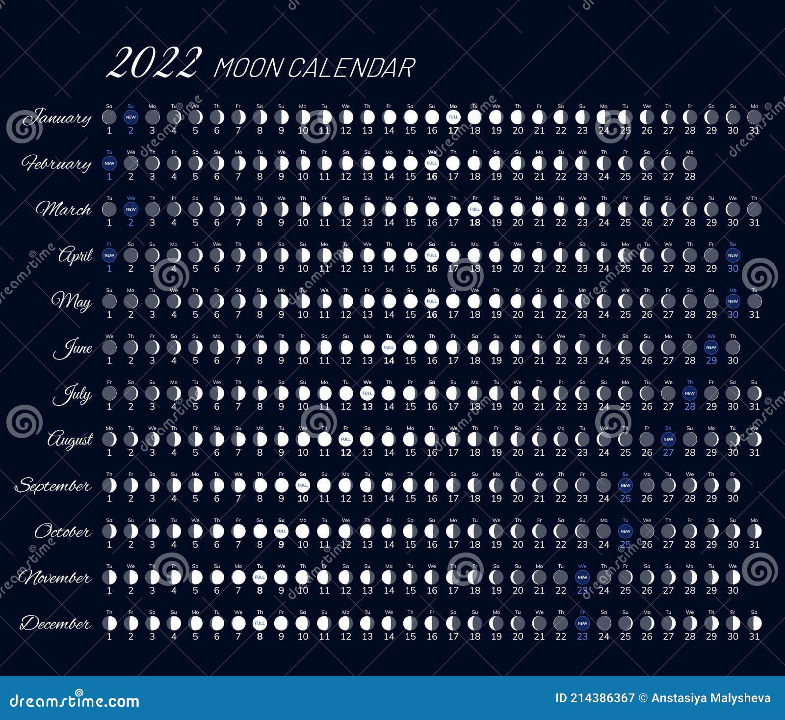 2022 year moon calendar month cycle planner design stock