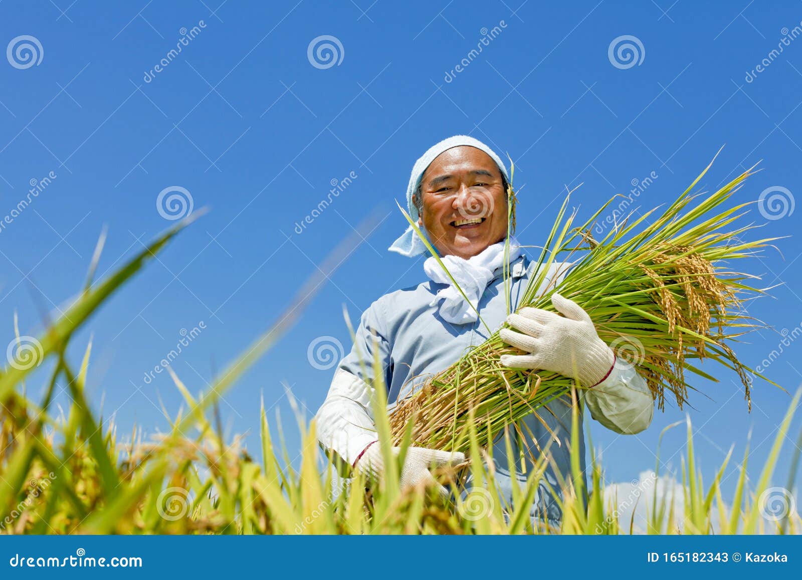 Japanese Farmer Man 70 Year Old Japanese Man Stock Image Image Of Freedom Beauty 165182343