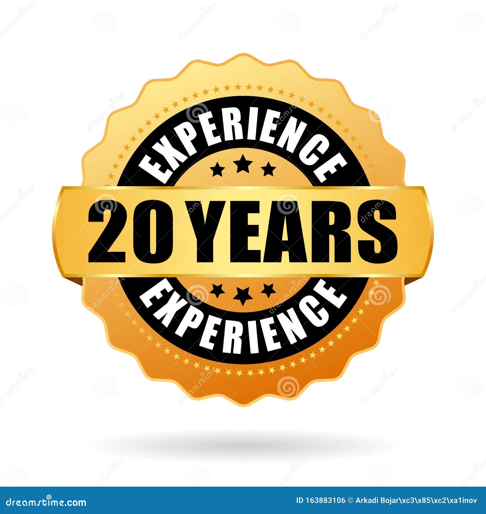 20 years experience  badge