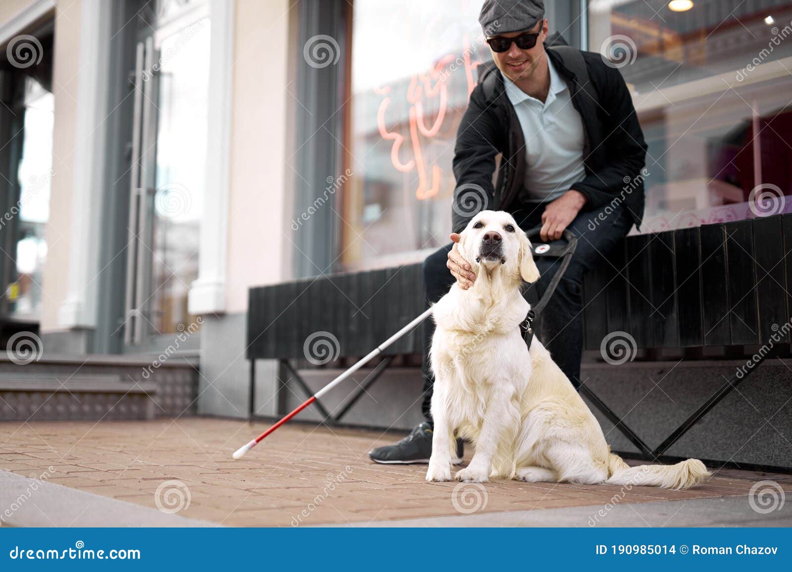25 Years Old Man Suffer from Blindness, Get Help by Dog Guide Stock