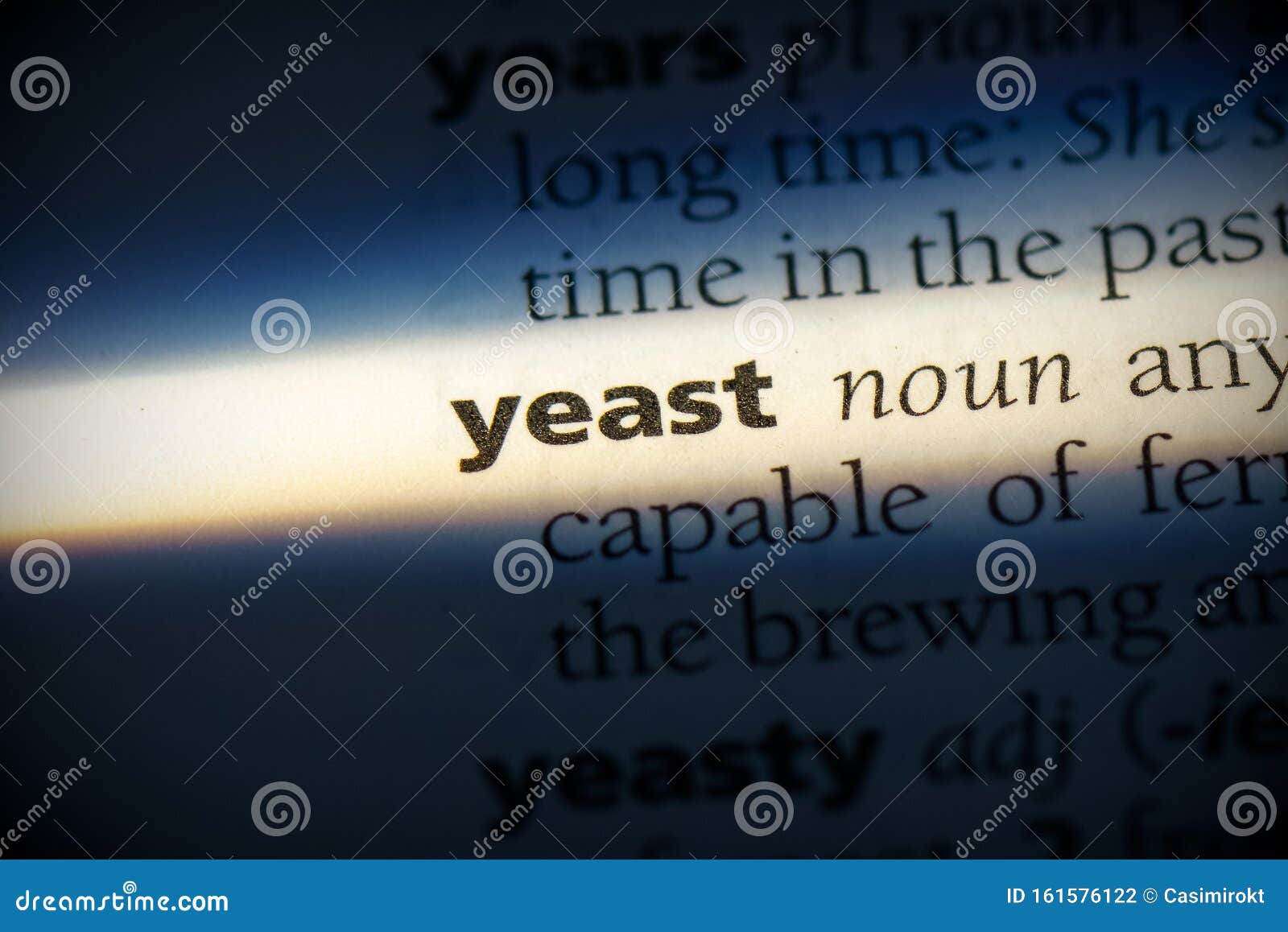 Yeast stock photo. Image of language, word, definition 161576122