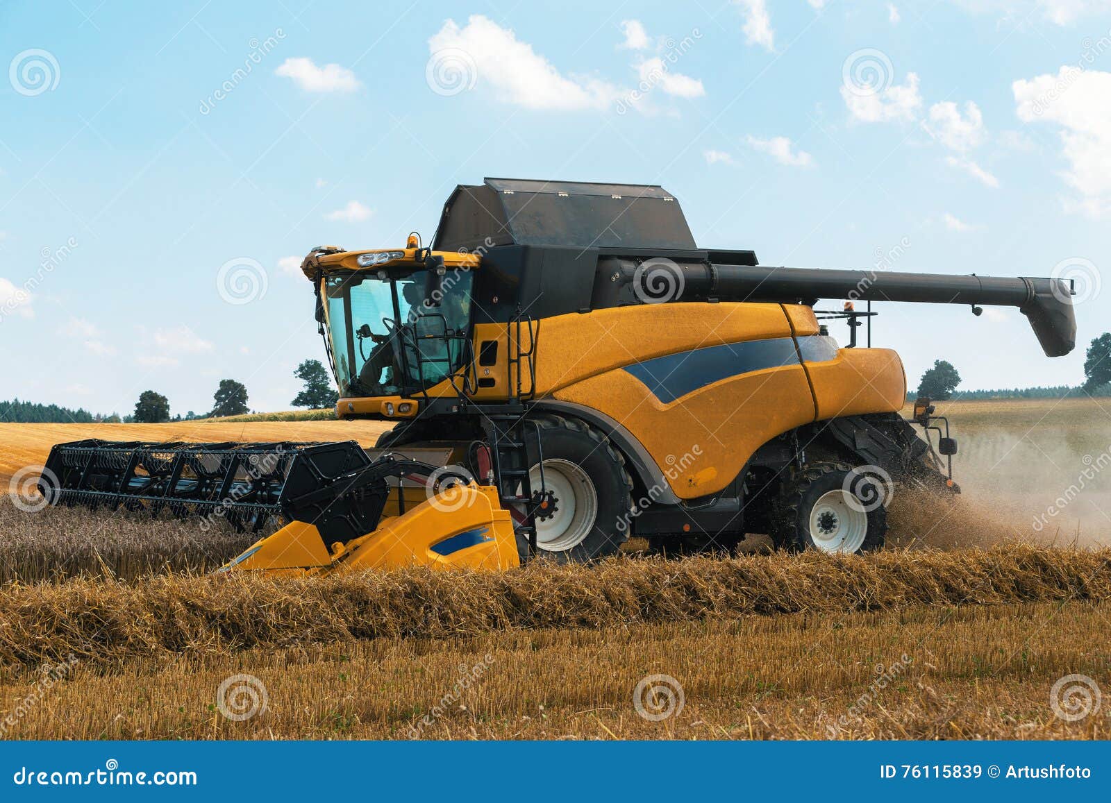 yellov harvester on field harvesting gold wheat