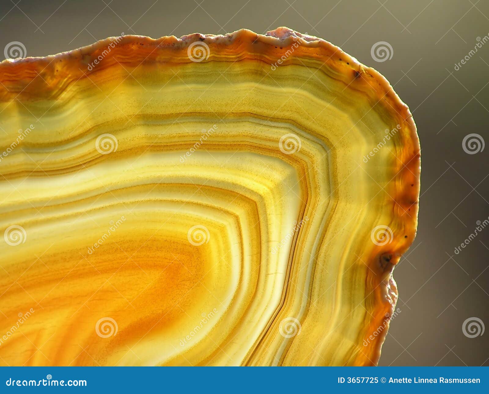 Yellow agate slices stock image. Image of slice, geology - 3657725