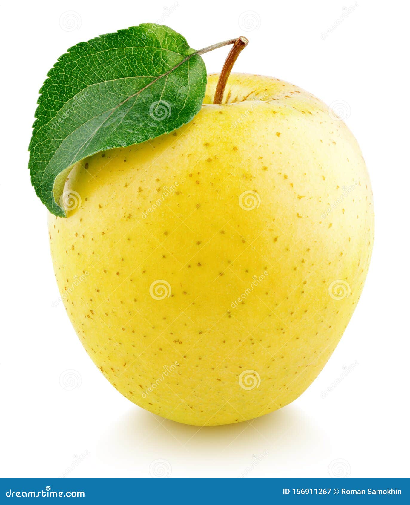 Yellow Apple Fruit With Green Leaf Isolated On White Stock Image Image Of Leaf Depth Yellow Apple Fruit With Green Leaf Isolated On White Stock Image Image Of Leaf Depth