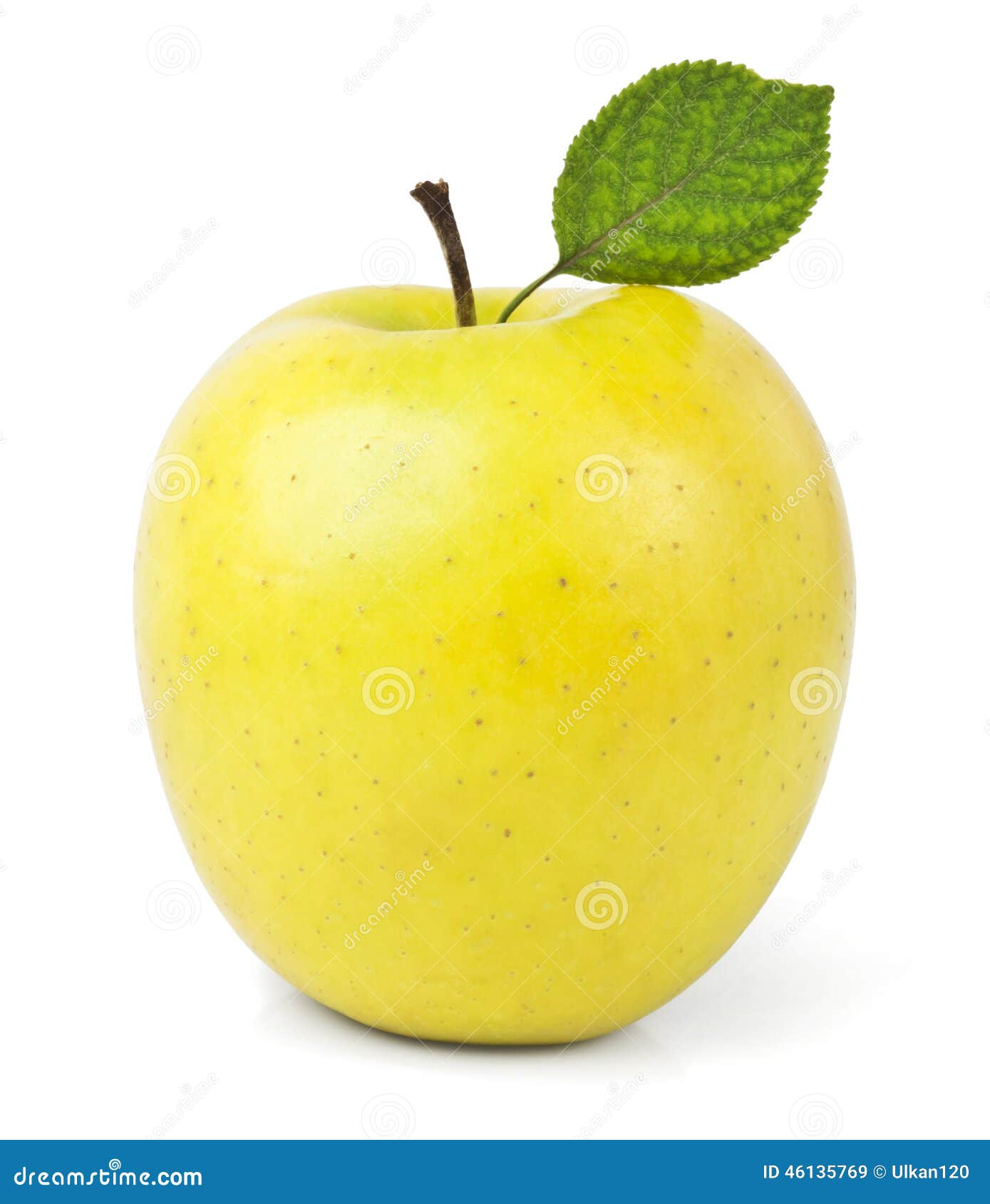 Yellow apples with leaves stock image. Image of health 46135769