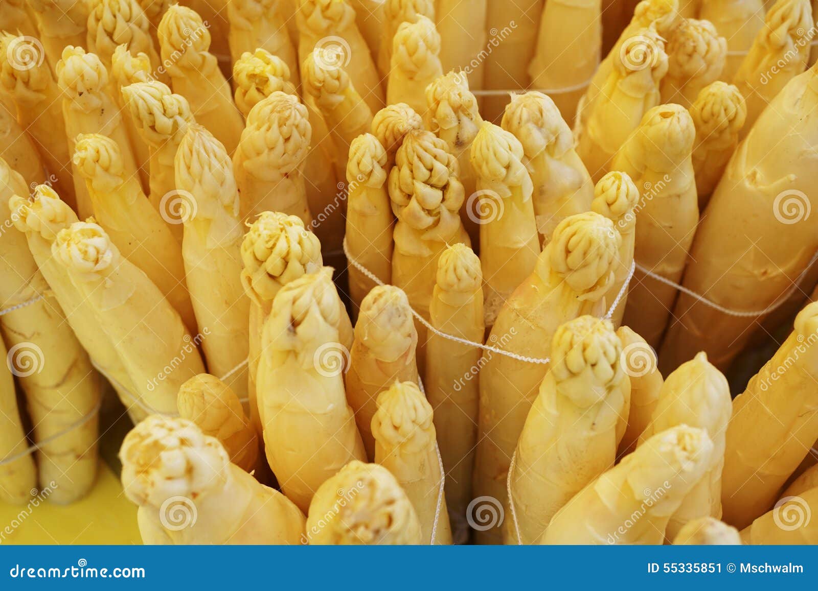 Yellow Asparagus stock image. Image of food, specific 55335851