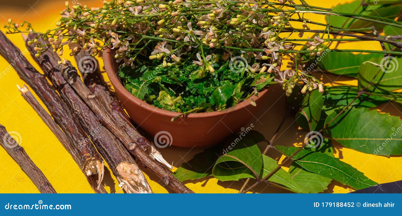 Yellow Dried Leaves of Neem Tree on the Ground. Stock Image - Image of  leaf, leaves: 242797855