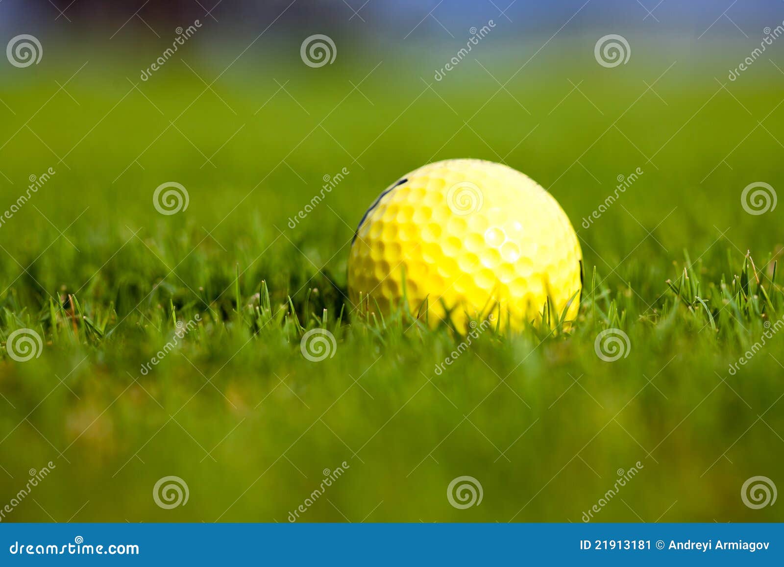 Yellow ball for a golf stock image. Image of play, green 21913181