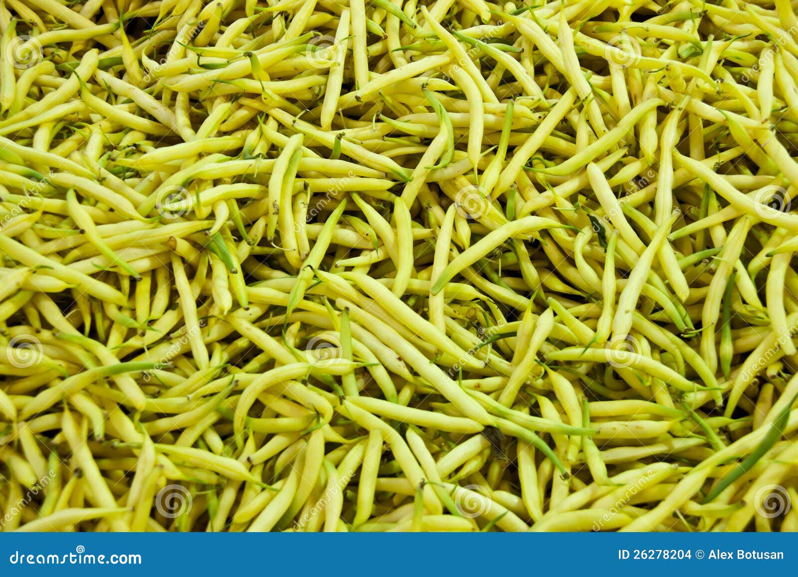 Yellow beans stock photo. Image of pattern, fresh, nature 26278204