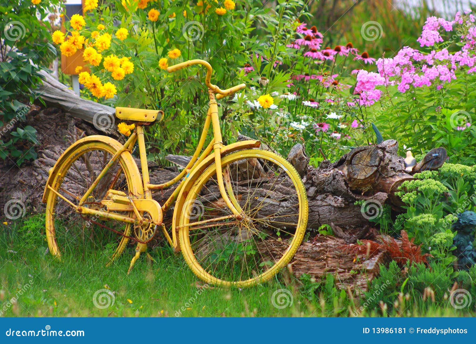 Yellow Bike stock image. Image of yellow, grass, postcard 13986181