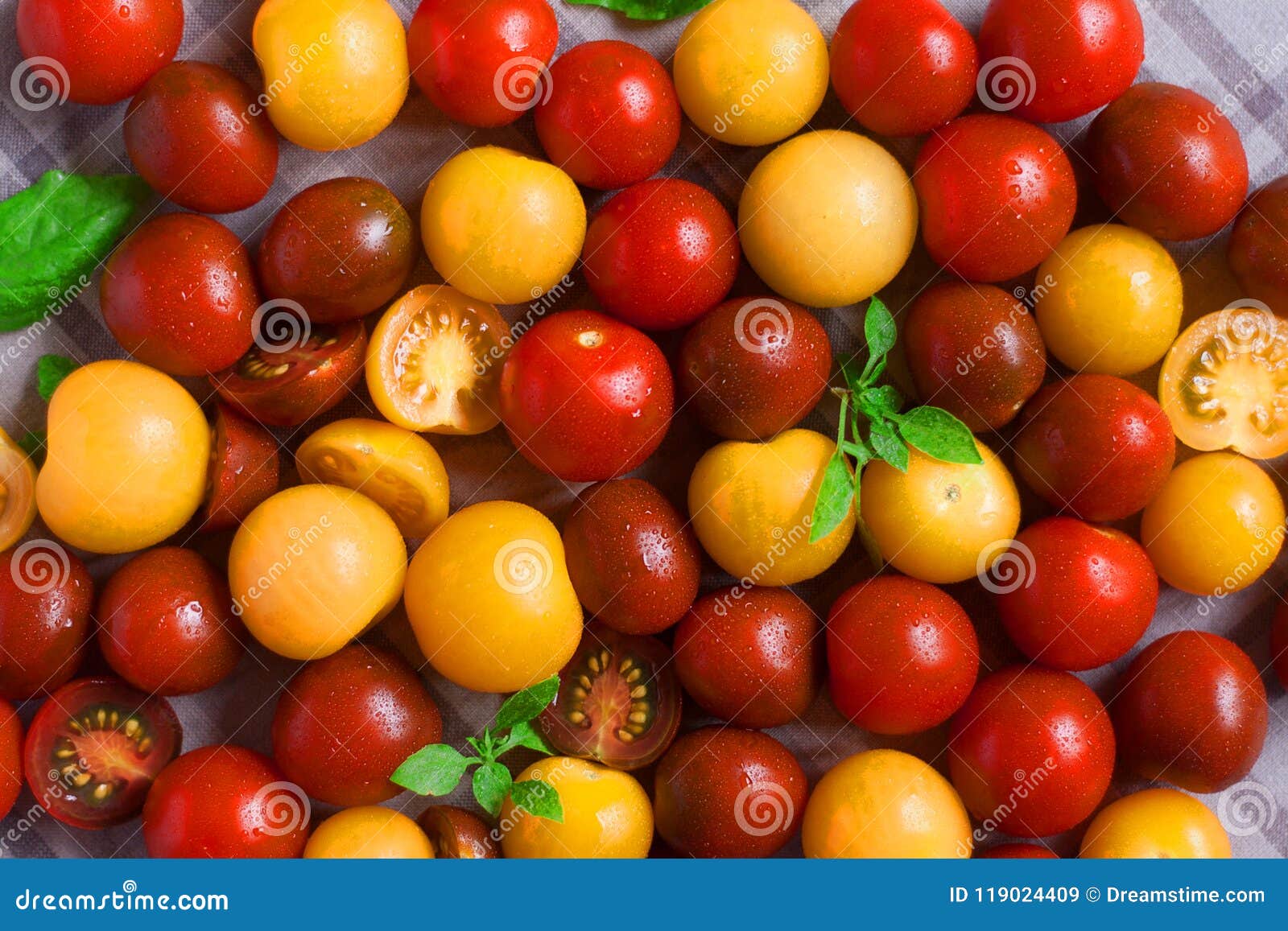 Yellow Black Kumato and Red Cherry Tomatoes on the Table Stock Image