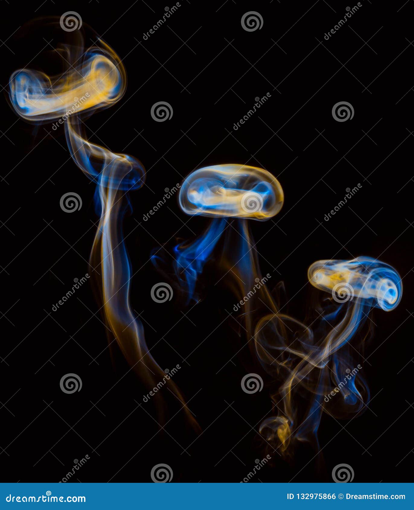 My Image 25