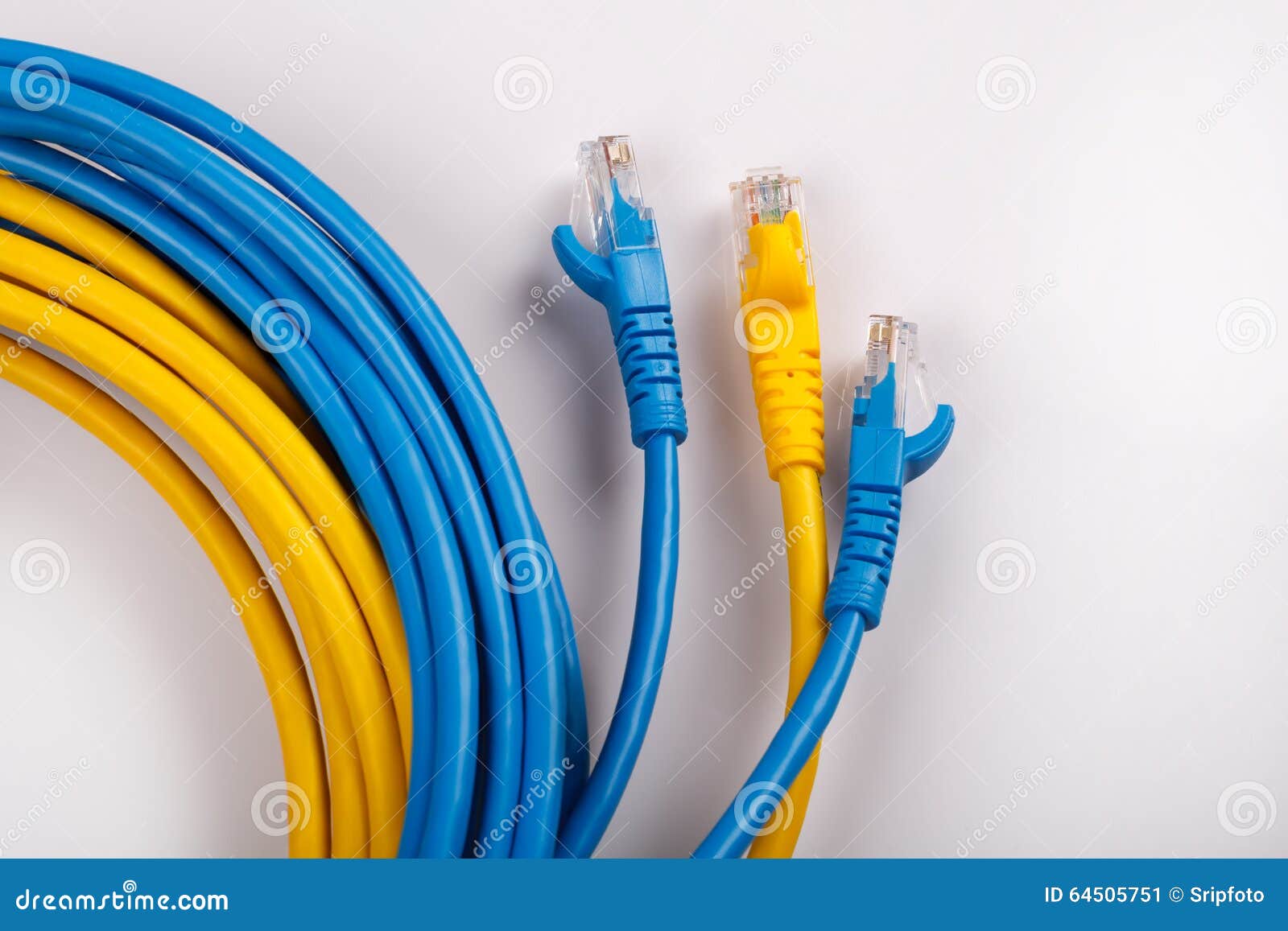 Yellow and Blue Network Cable with Molded RJ45 Plug Stock Image Image