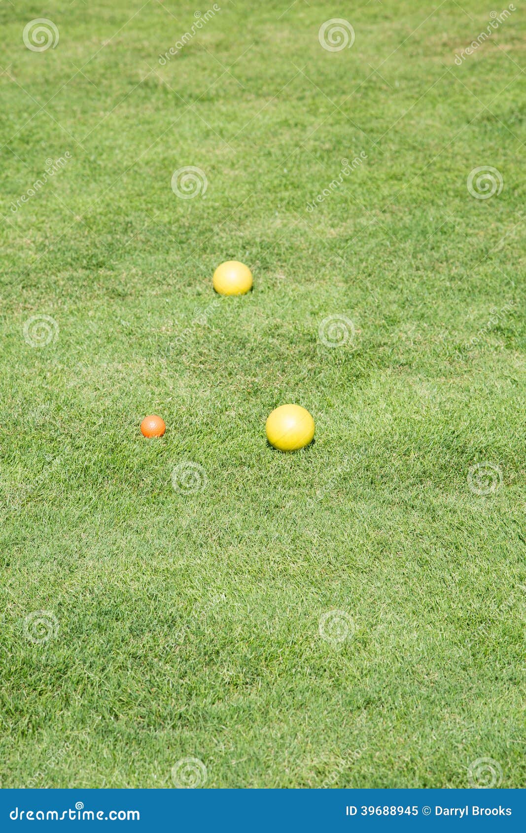 Yellow Bocce Balls on a Green Lawn Stock Image Image of plant, fresh