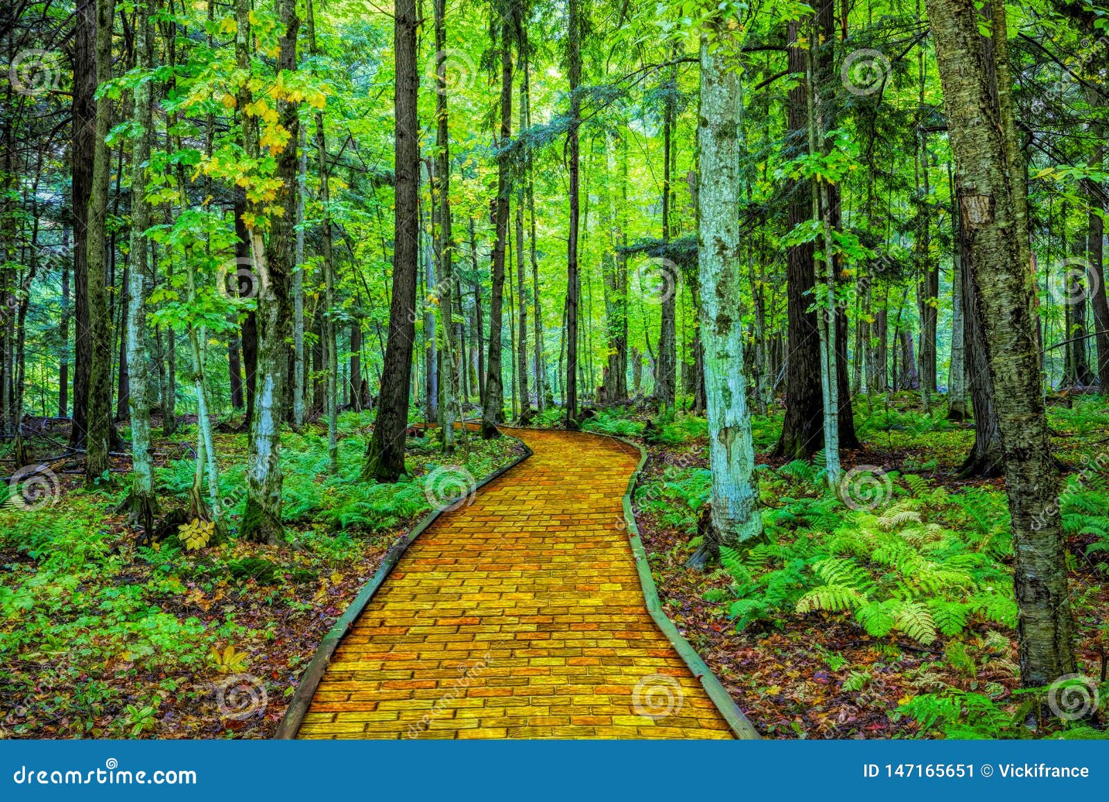 yellow brick road through forest