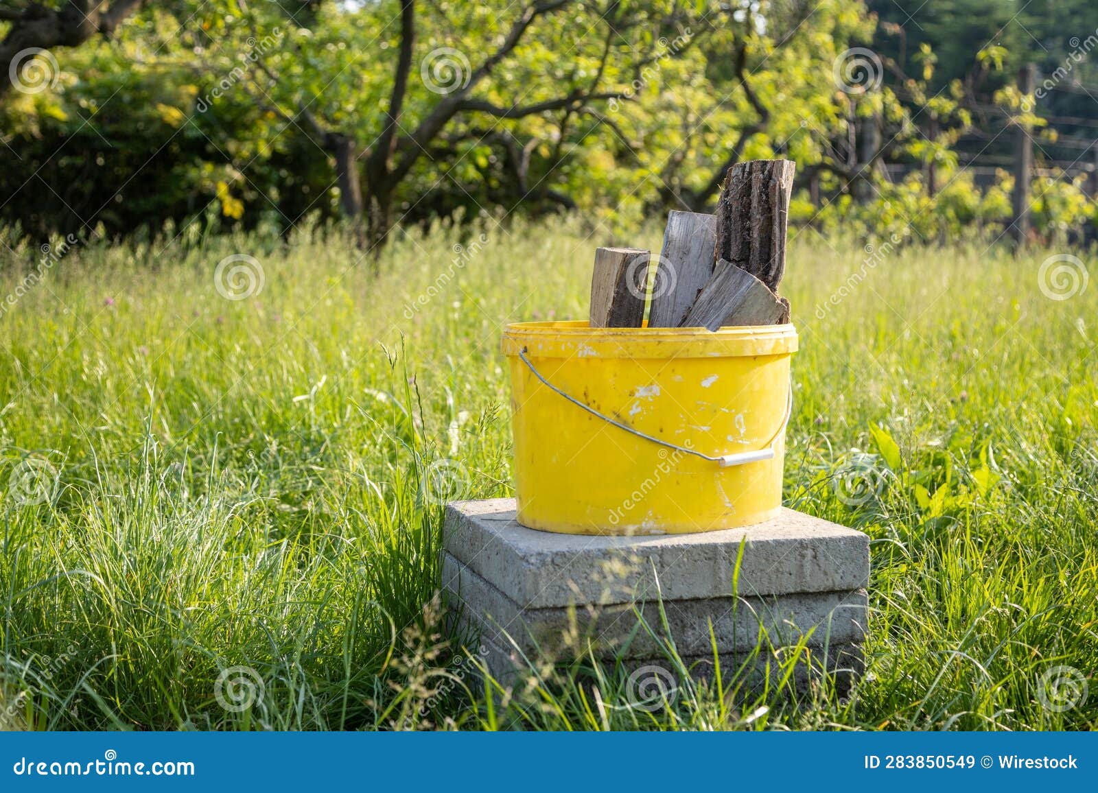 Yellow Bucket Filled with Firewood Stock Image Image of logs, green