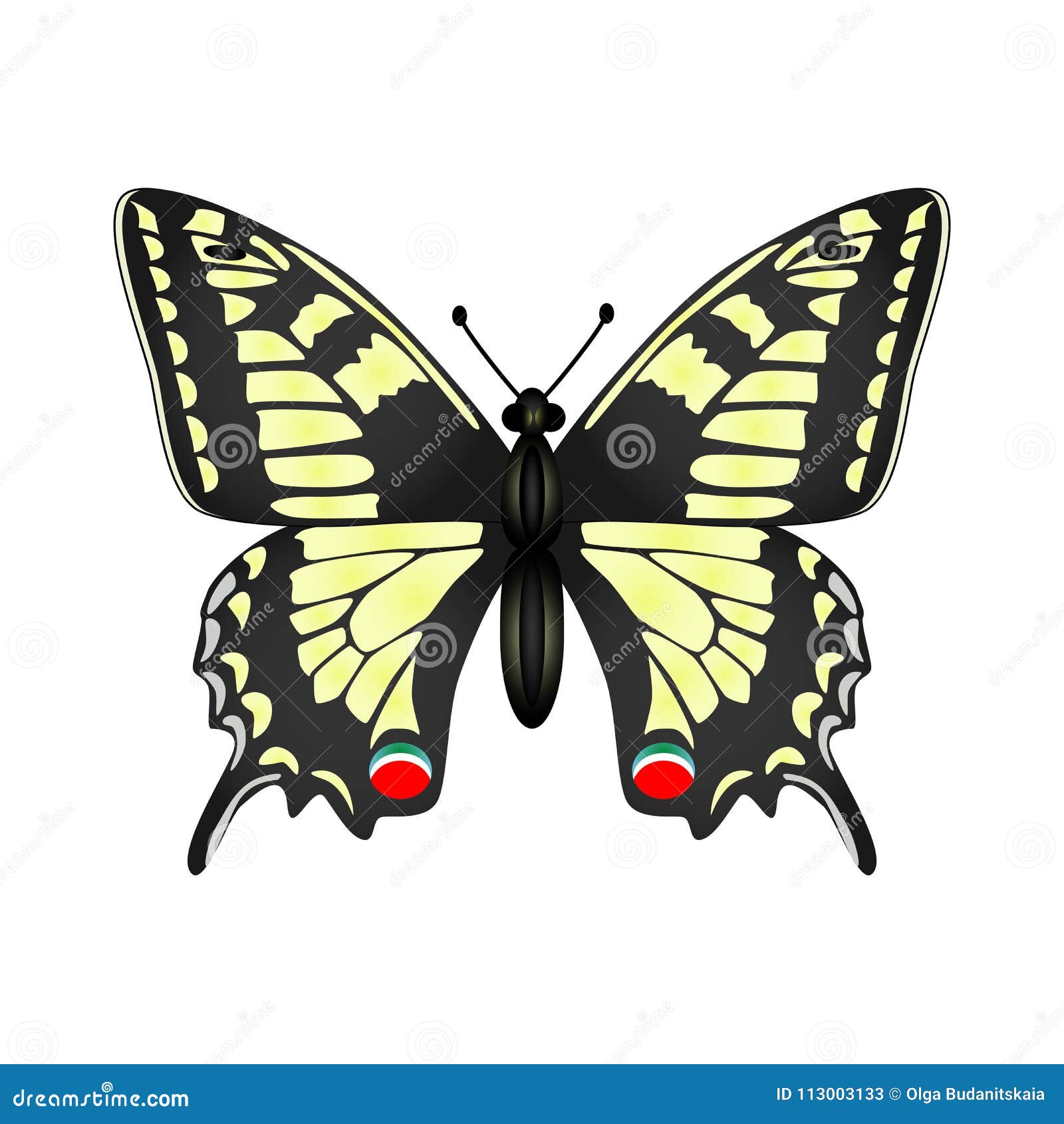 Download Yellow Butterfly Vector Illustration Isolated On White ...