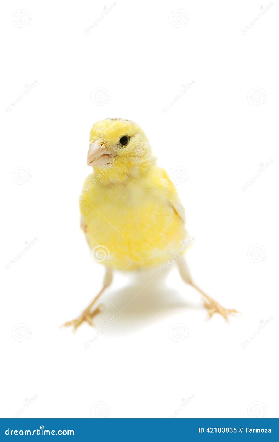 off white canary yellow 1