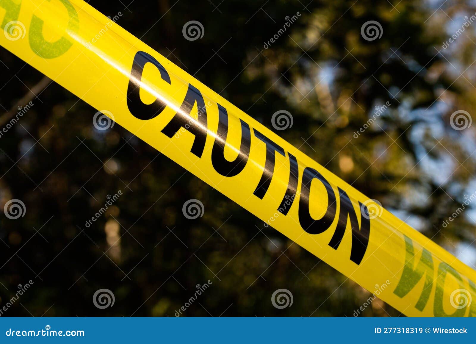 Yellow "caution" Tape with a Tree in the Background Stock Image Image of forest, tree 277318319