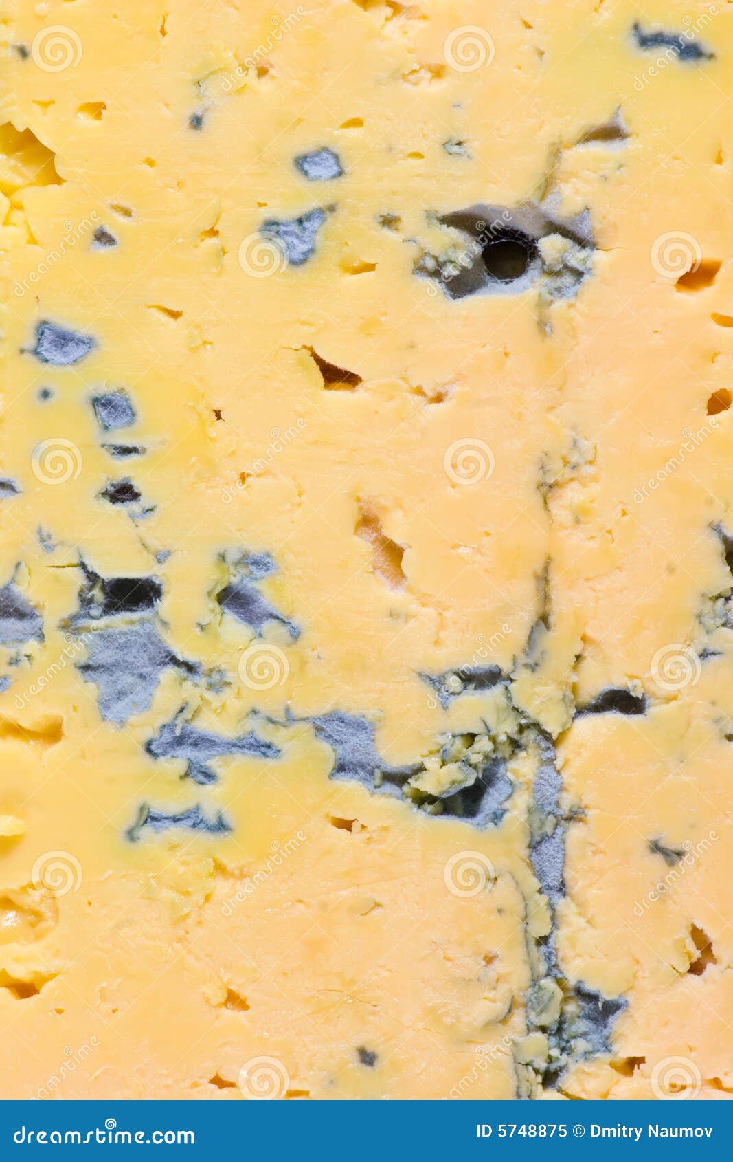 Yellow Cheese with Blue Mold Stock Image Image of aging, mould 5748875