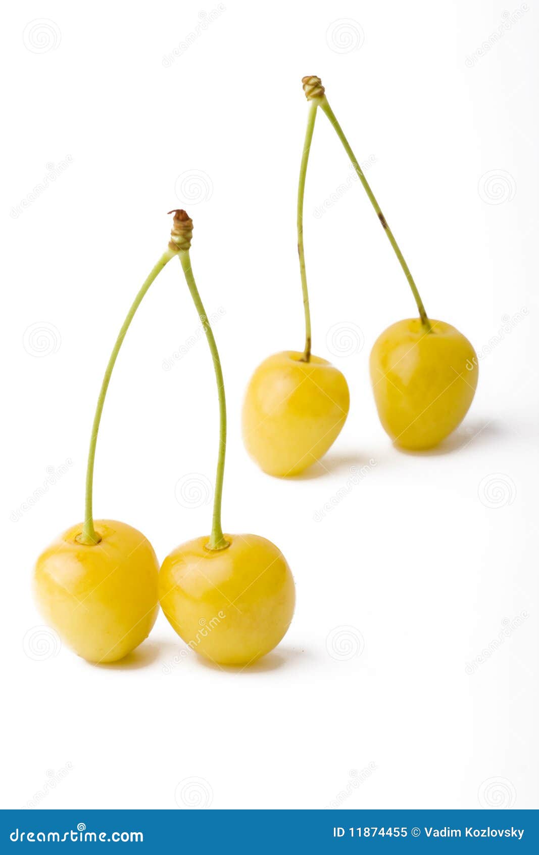 Yellow cherries stock image. Image of stem, fruit, dieting 11874455