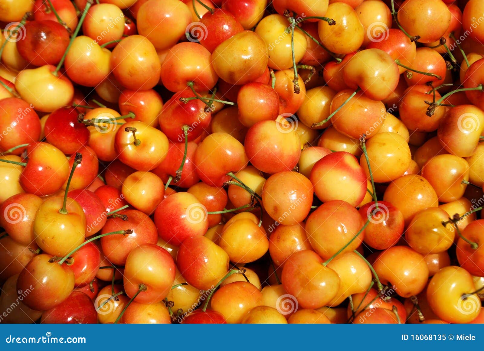 Yellow cherries texture stock image. Image of bunch, juicy 16068135