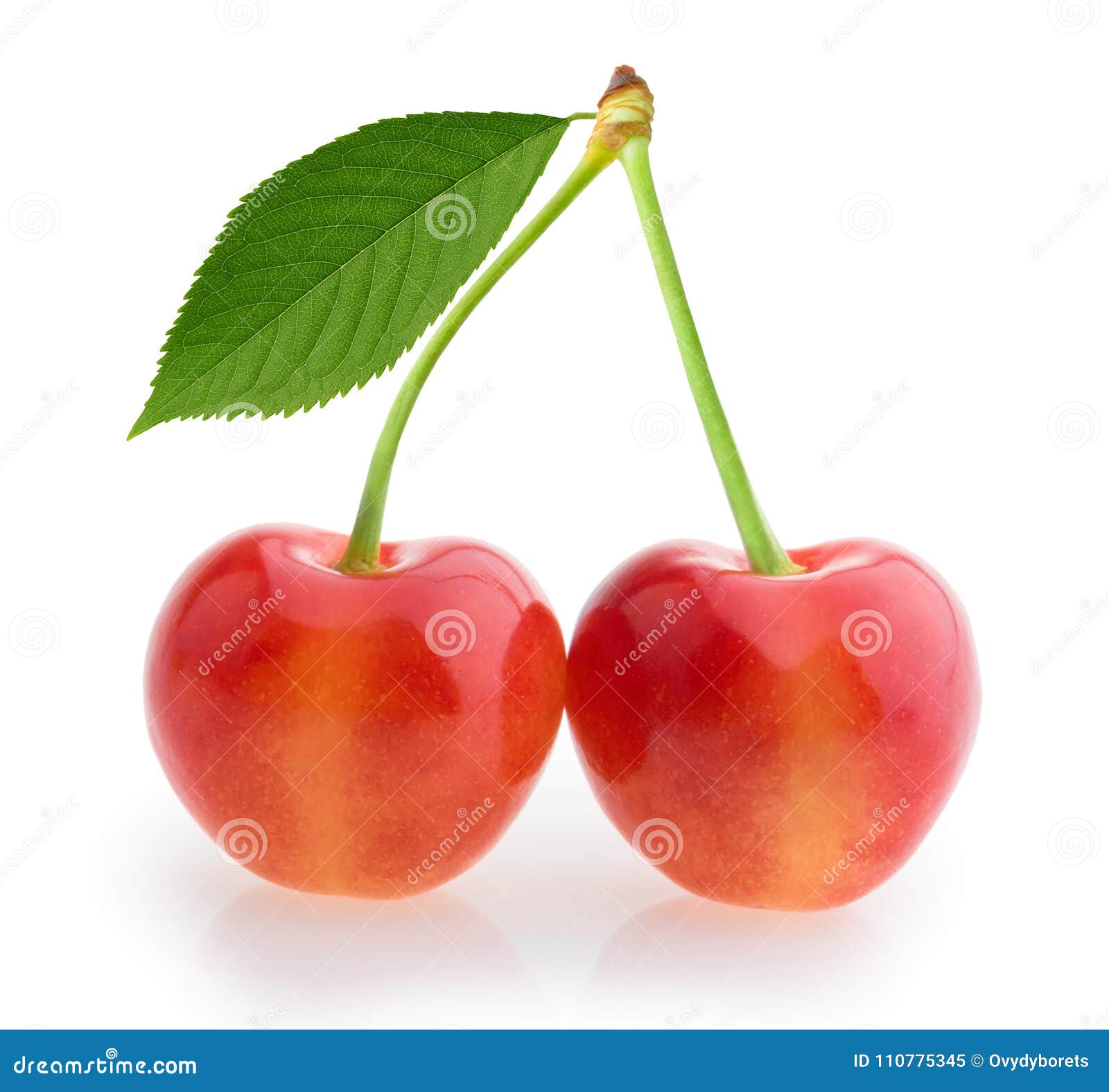 Yellow cherries on white stock image. Image of chery 110775345