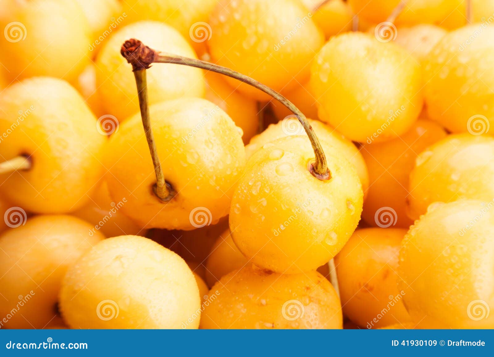 Yellow cherry stock image. Image of drops, sweet, summer 41930109
