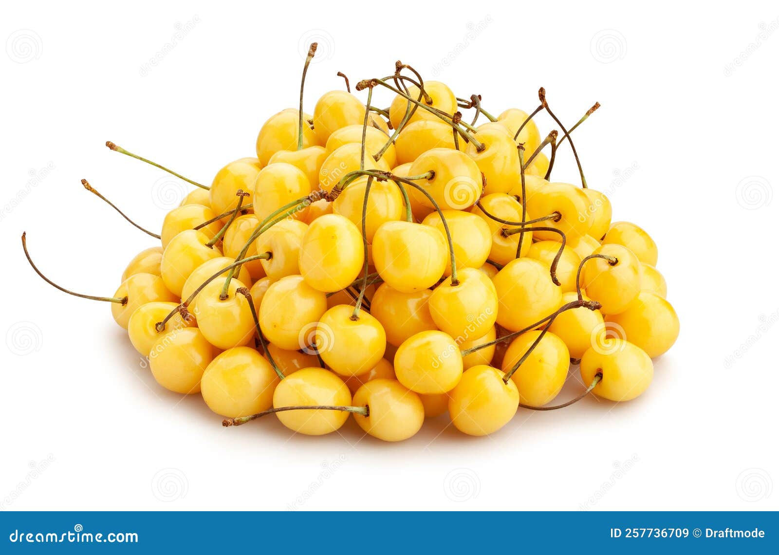 Yellow Cherry Path Isolated Stock Image Image of cherries, bright