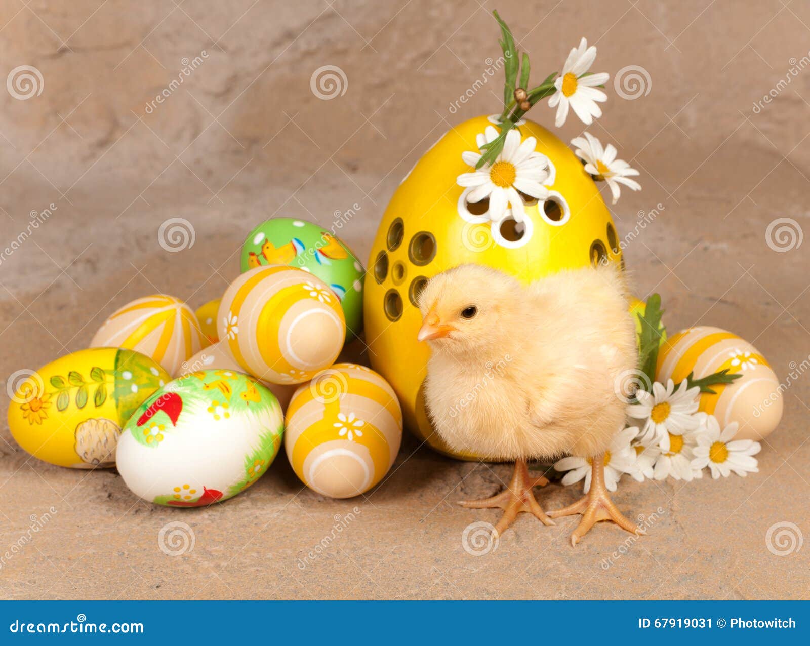 Yellow Chick and Easter Eggs Stock Image Image of daisies, young