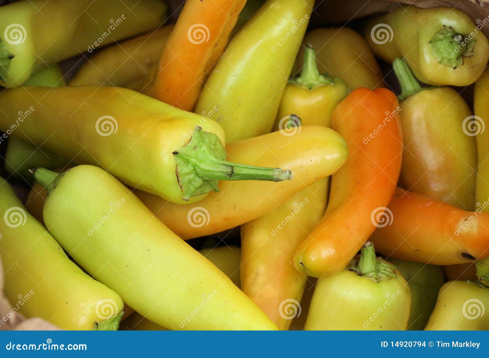 Yellow chili peppers stock photo. Image of vegetable 14920794