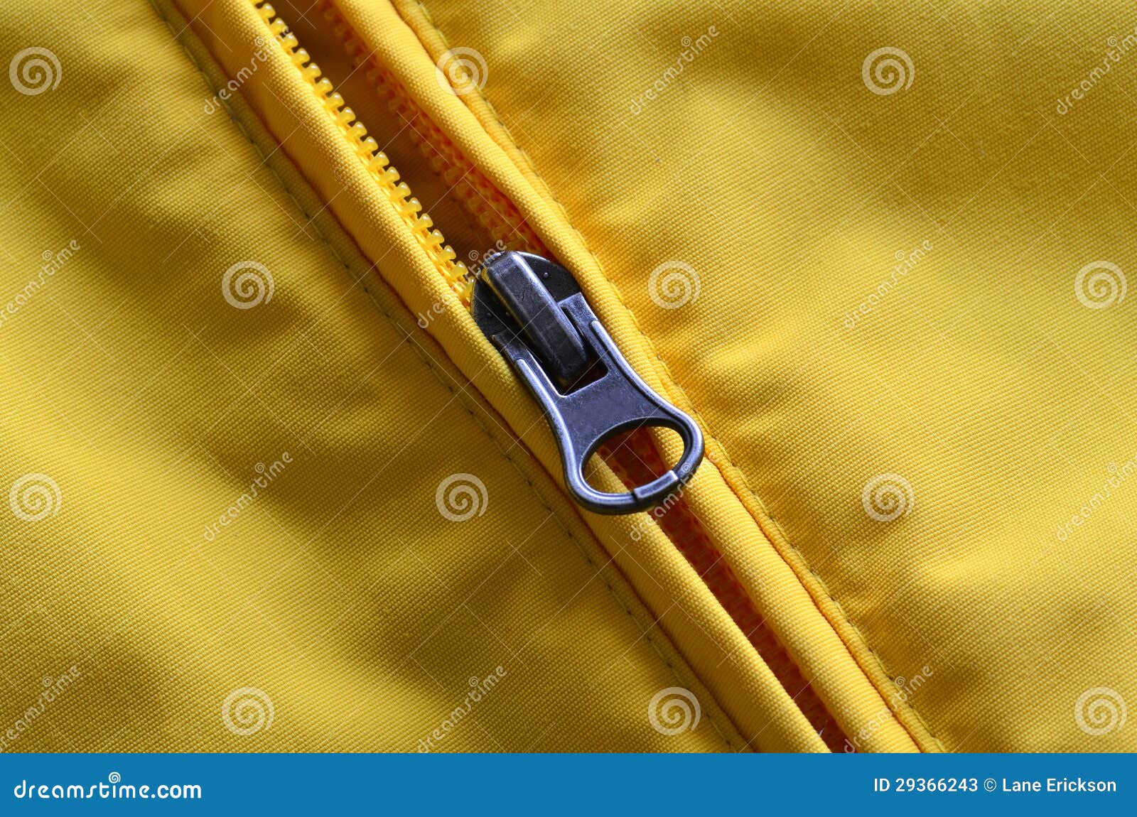 Yellow Coat with Detailed Zipper Stock Image Image of garment, detail