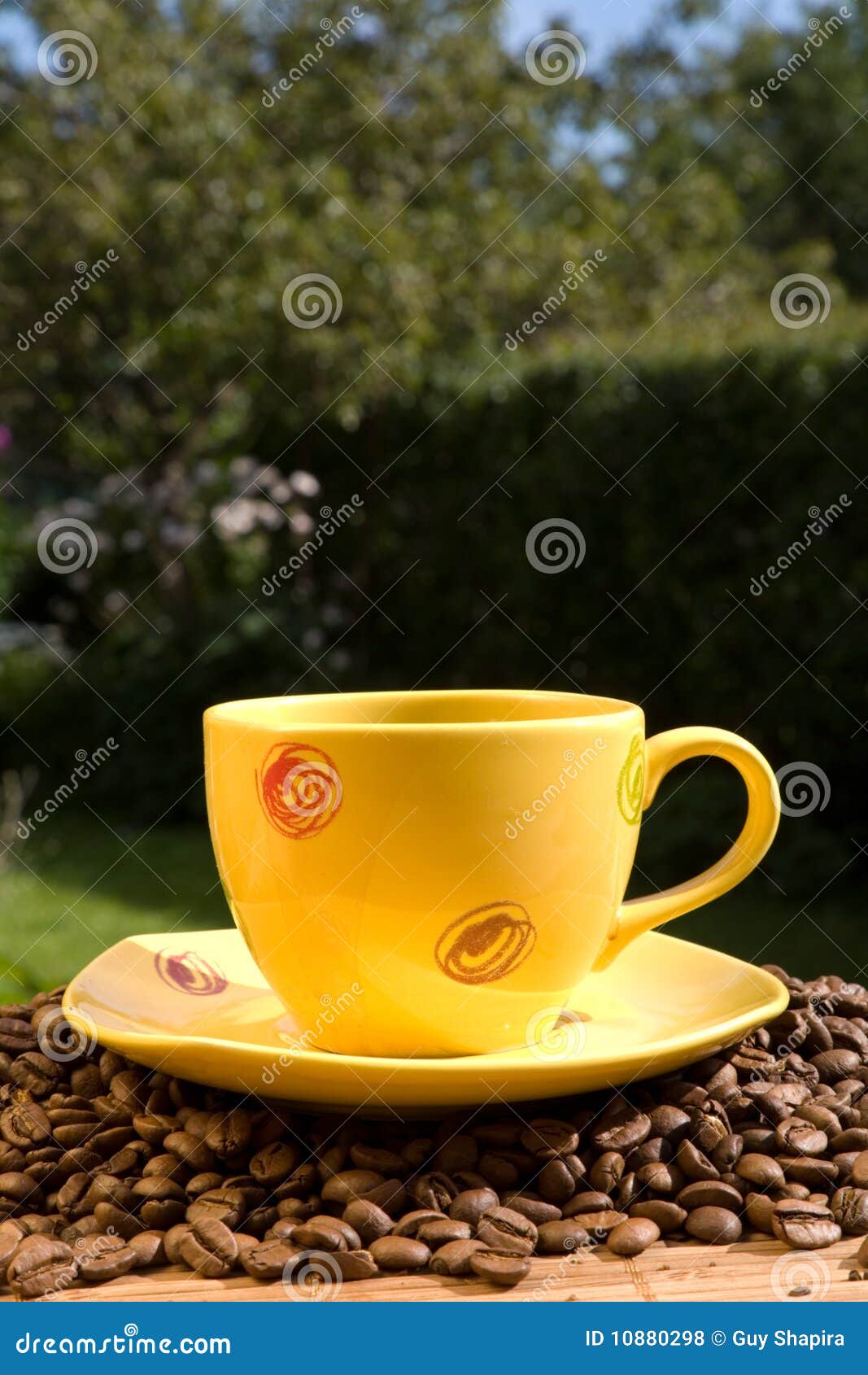 Yellow coffee cup stock photo. Image of dlyudtse, saucer 10880298