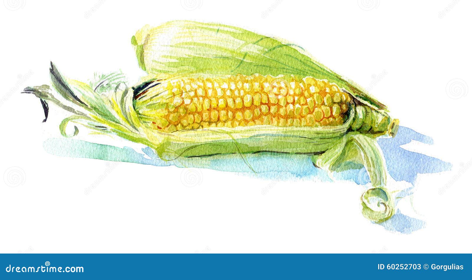 Yellow corn stock illustration. Illustration of cooking 60252703