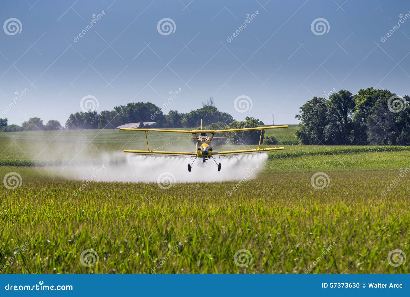 yellow crop duster