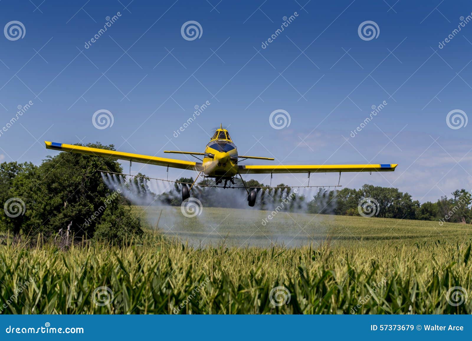 yellow crop duster