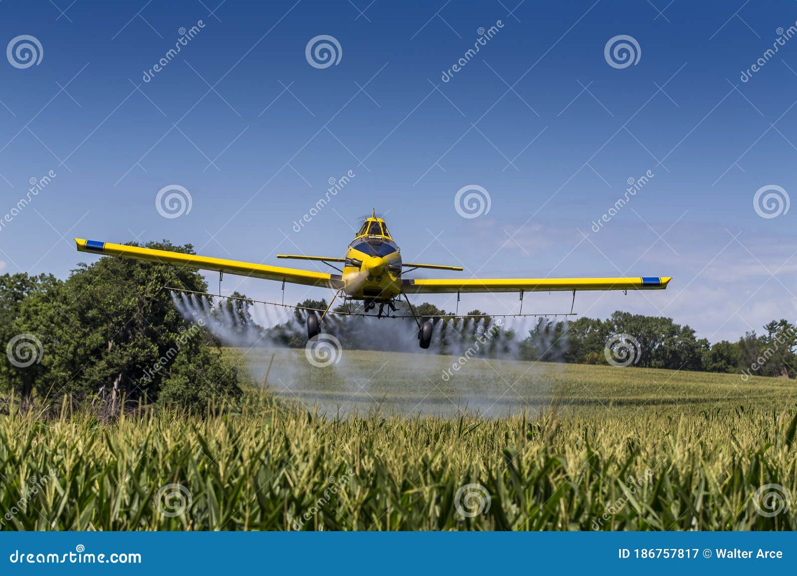 yellow crop duster spraying pestisides on crops
