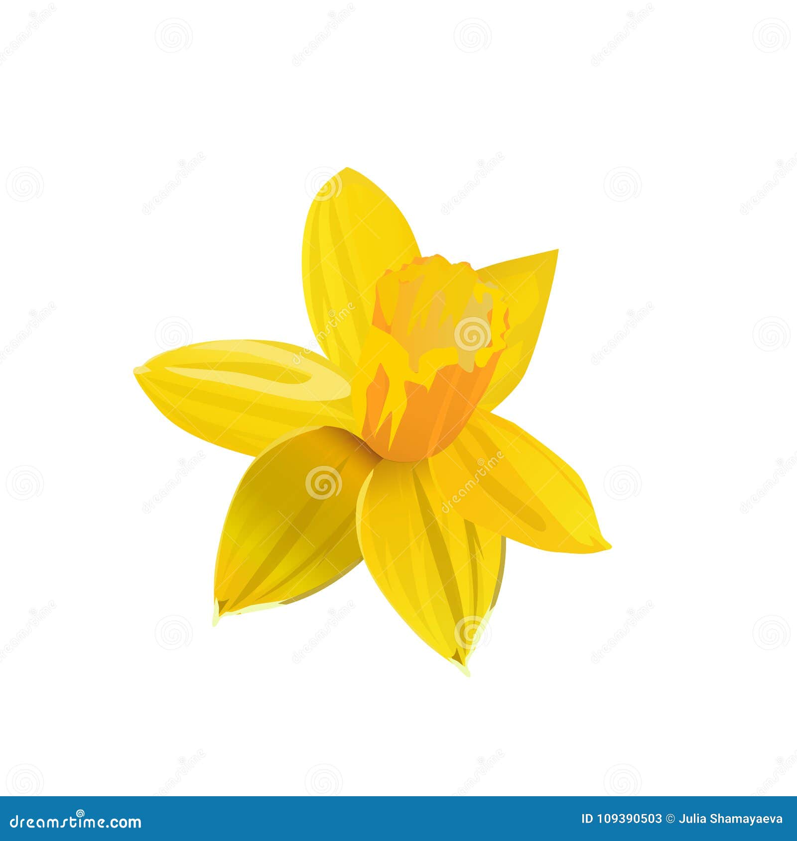 Yellow Daffodil. Flower. Vector Illustration. Stock Illustration ...