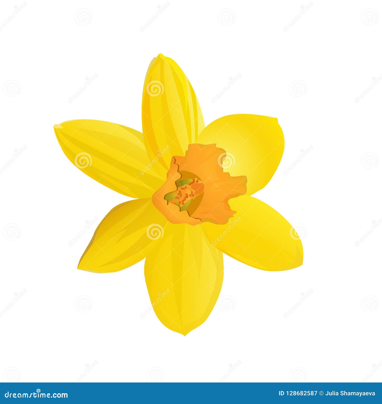 Yellow Daffodil. Flower. Vector Illustration. Stock Vector ...