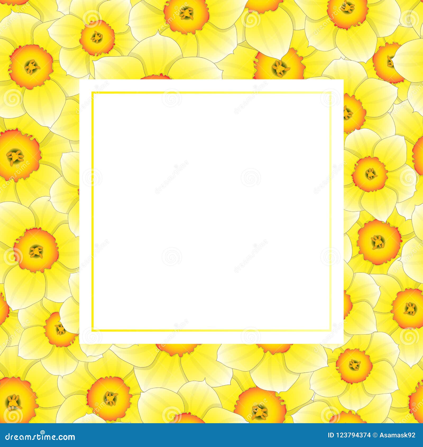 Daffodil Border Stock Illustrations 646 Daffodil Border Stock