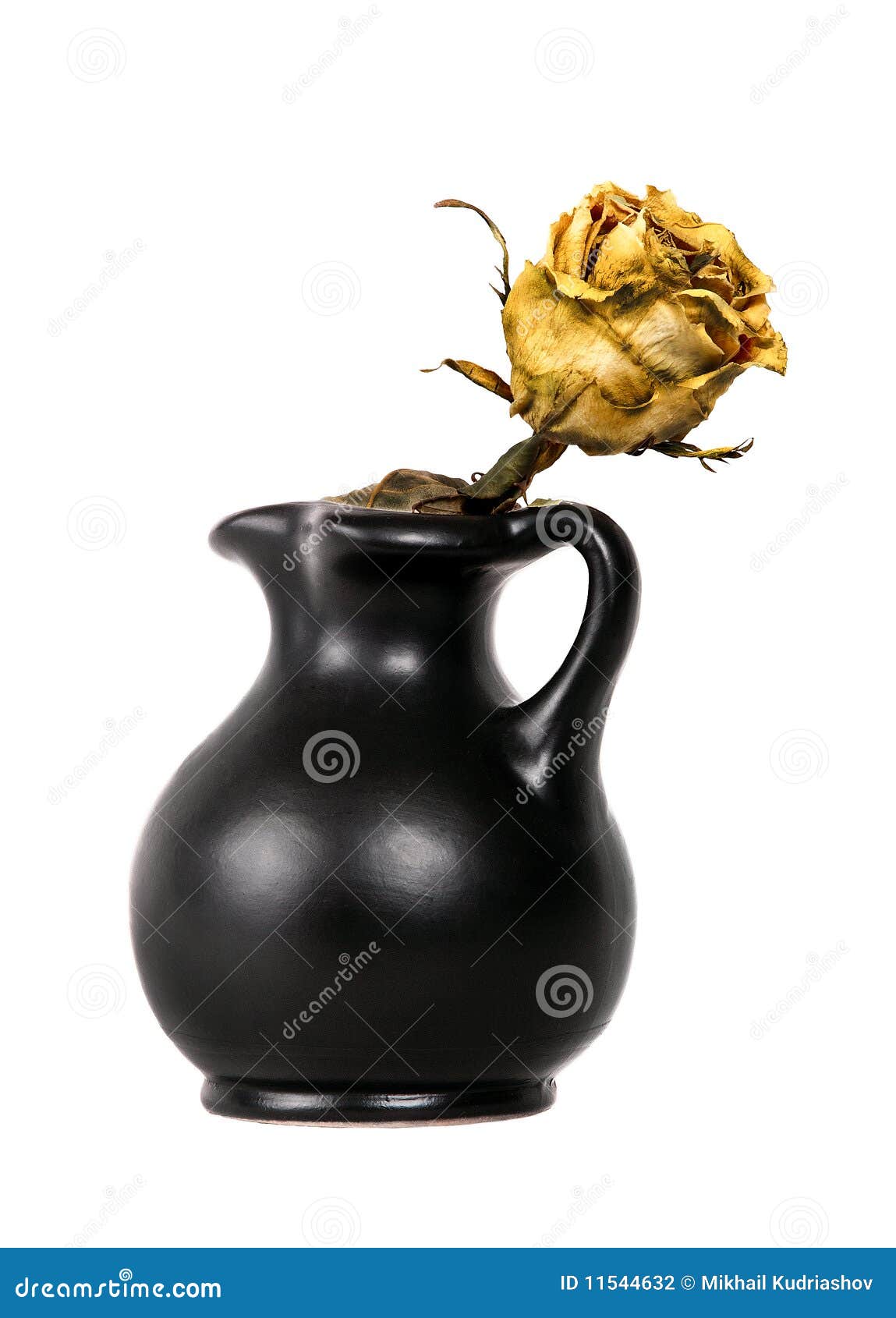 Yellow Dead Rose in Black Vase Stock Photo Image of depression, fragility 11544632