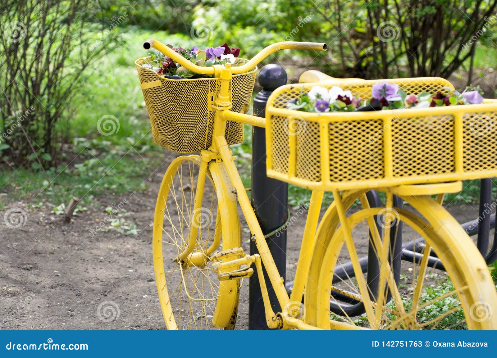 Yellow Decorative Bicycle with Fresh Flowers Stock Image Image of