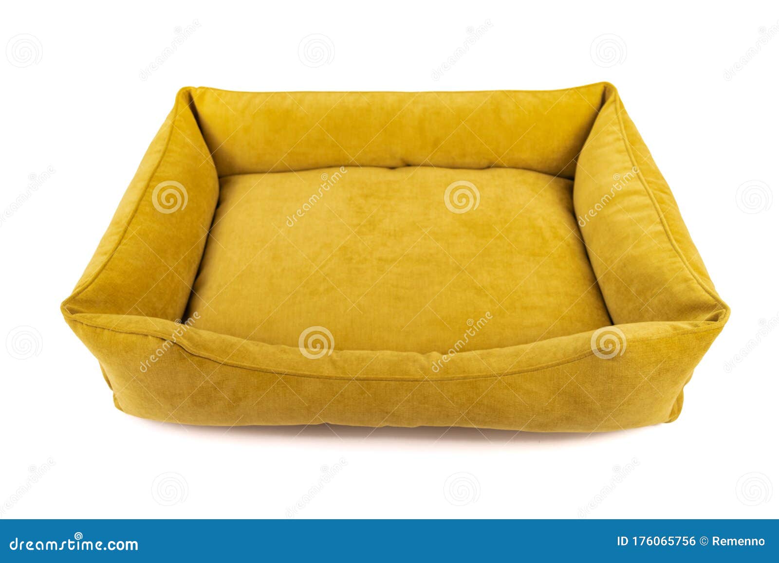yellow dog bed