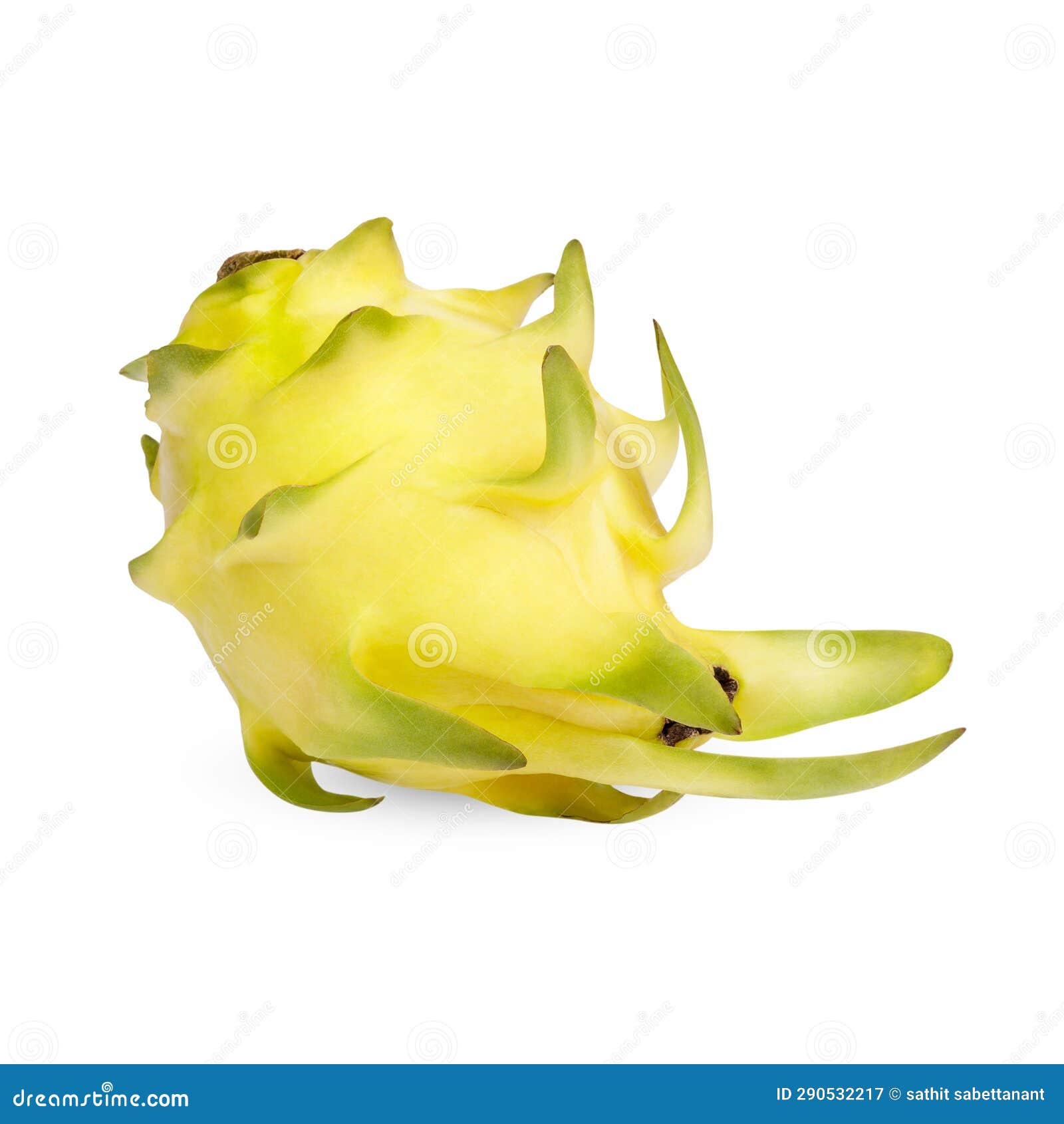 My Image 26
