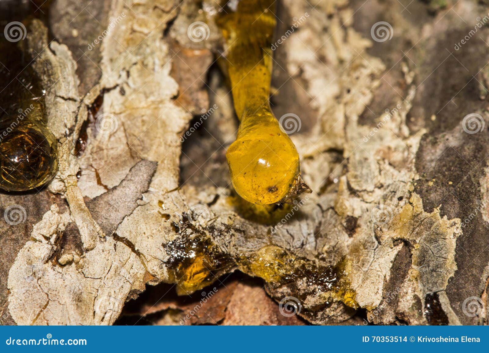 The yellow drop of resin stock photo. Image of backgrounds 70353514