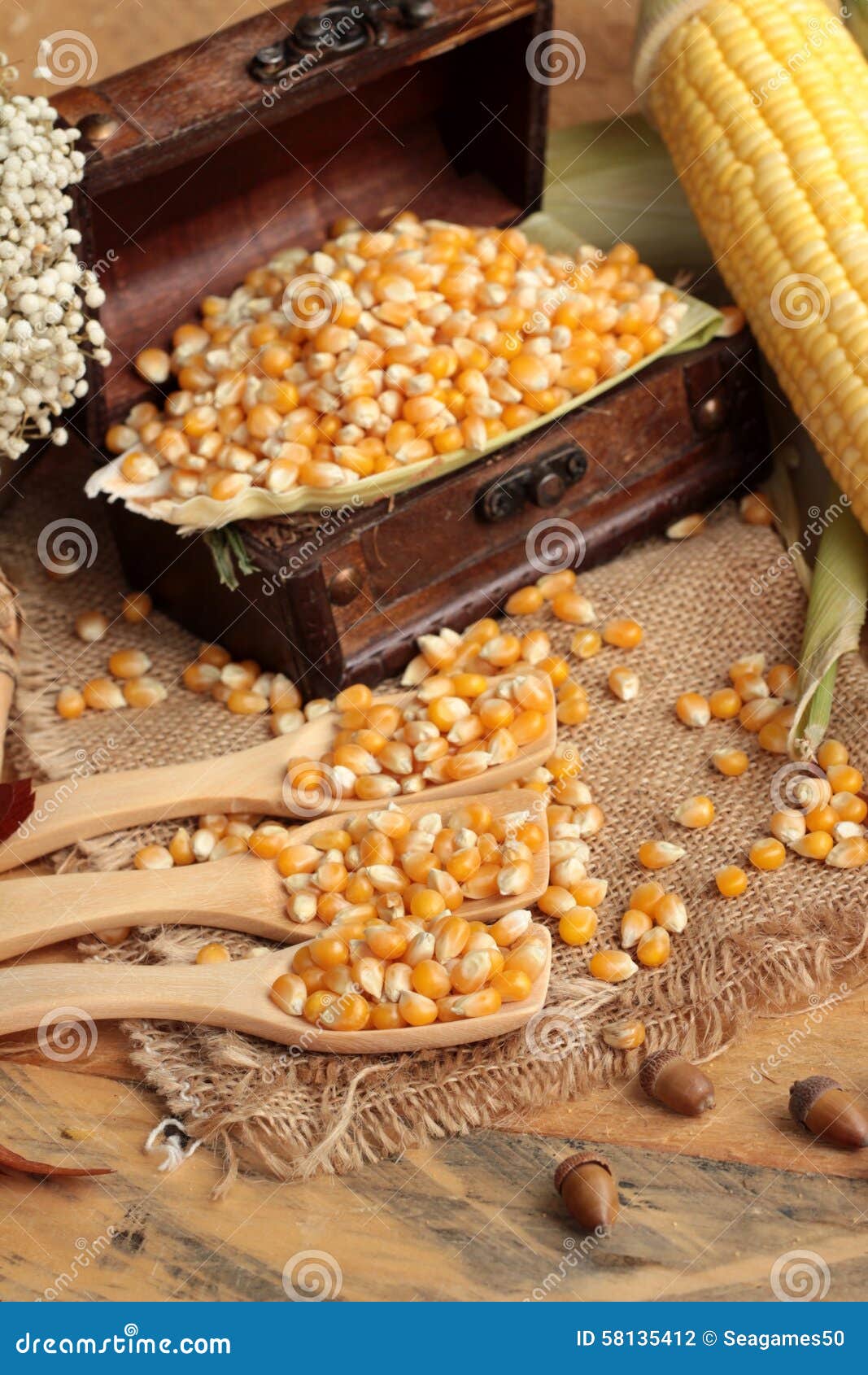 Yellow Dry Corn Grain and Corn Fresh. Stock Photo Image of brown