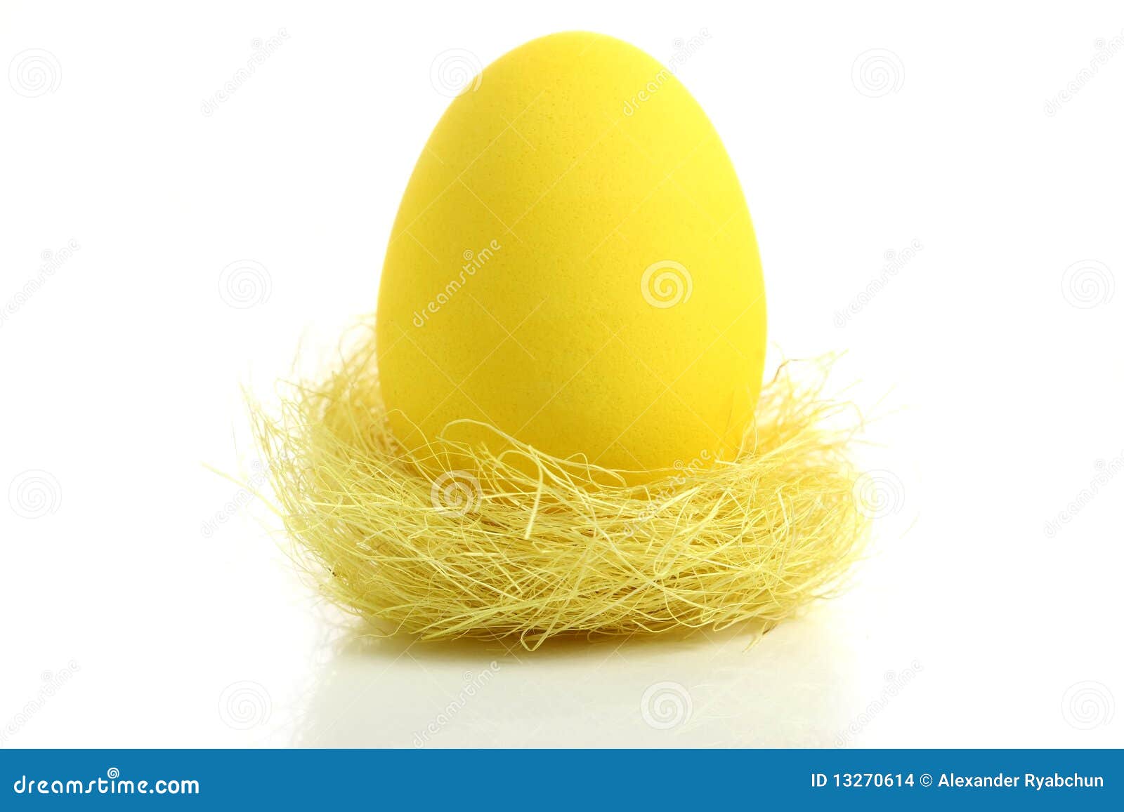 Yellow easter egg in nest stock photo. Image of isolated 13270614