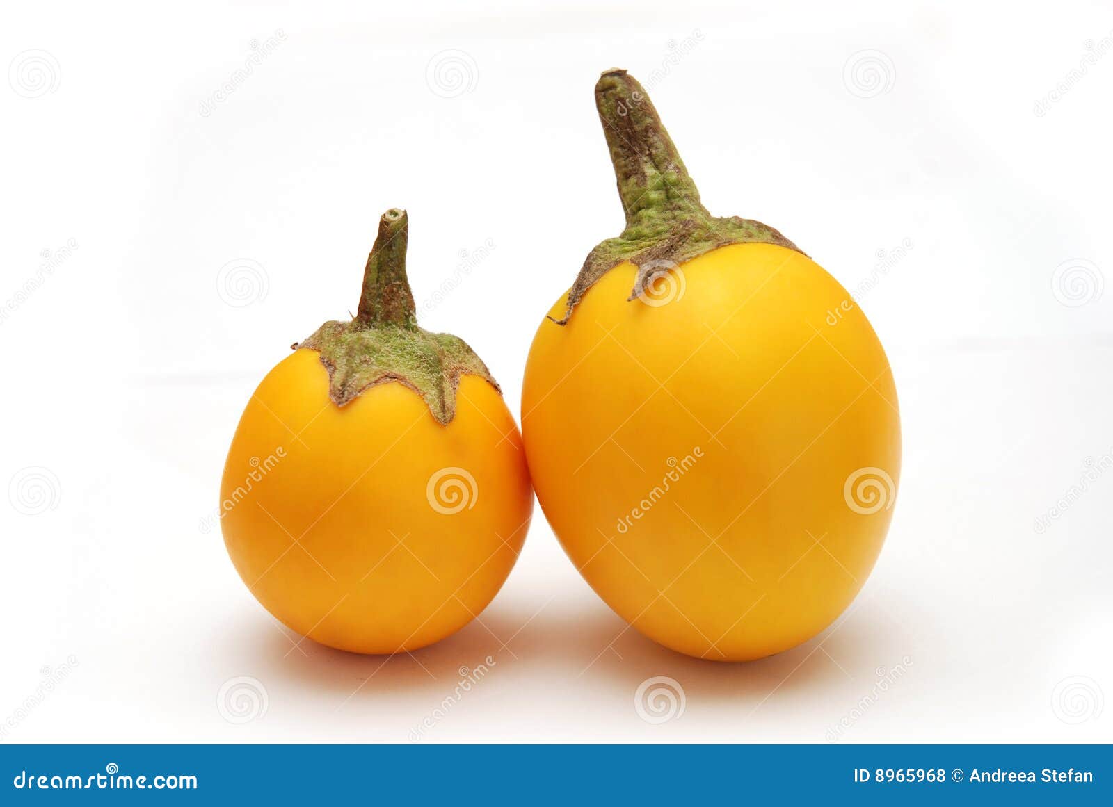 Yellow Eggplant stock photo. Image of natural, thai, taste 8965968
